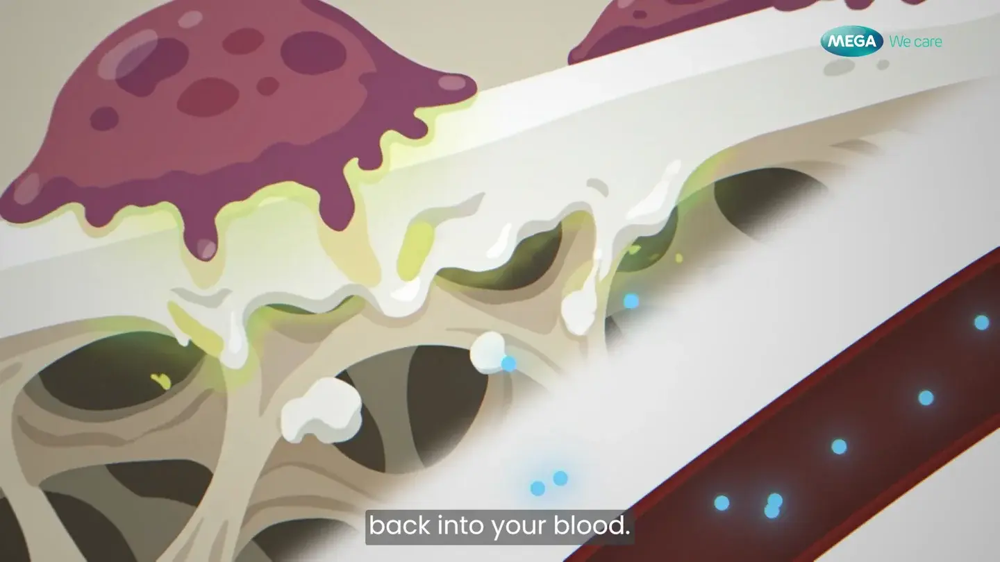 Bone and blood-vessel animation from FDM’s Mega We Care film