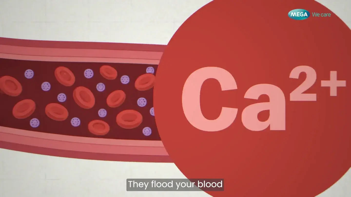 Blood-vessel illustration from FDM’s Mega We Care education film