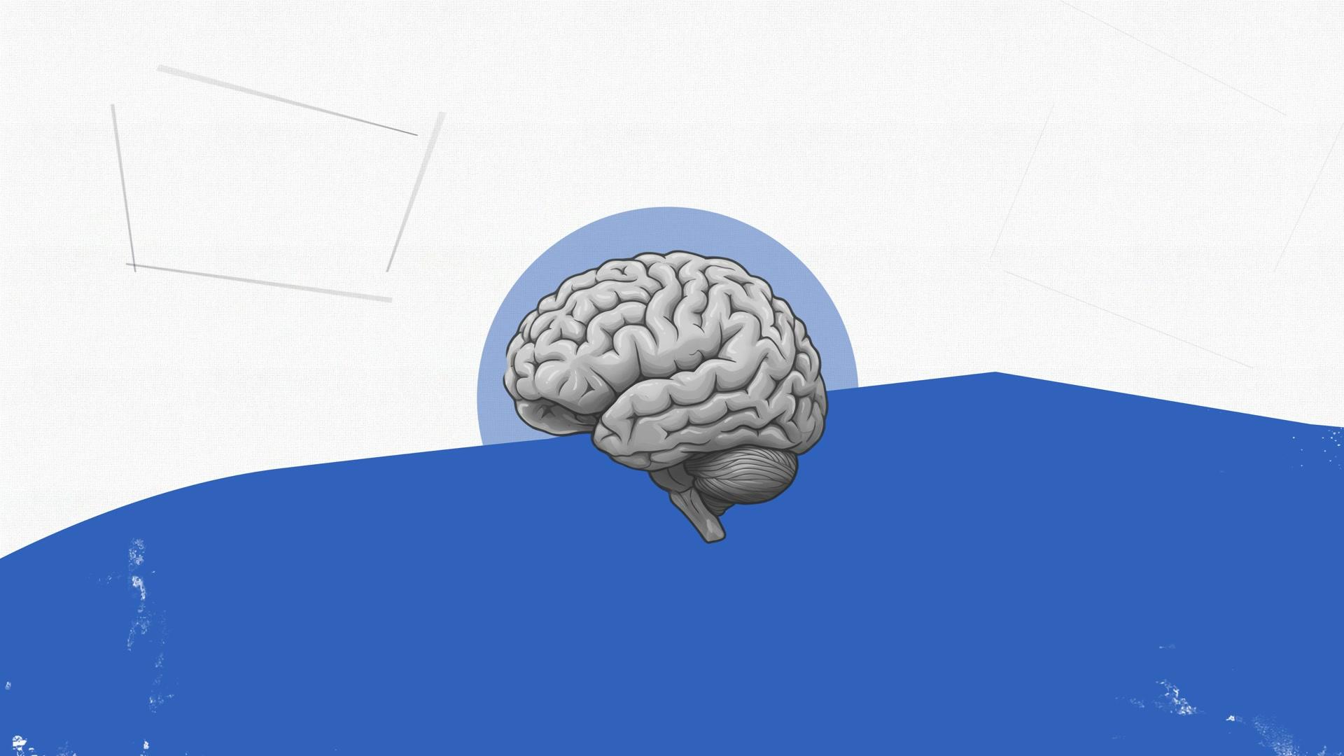 Educational graphics from FDM's AssetPlus work