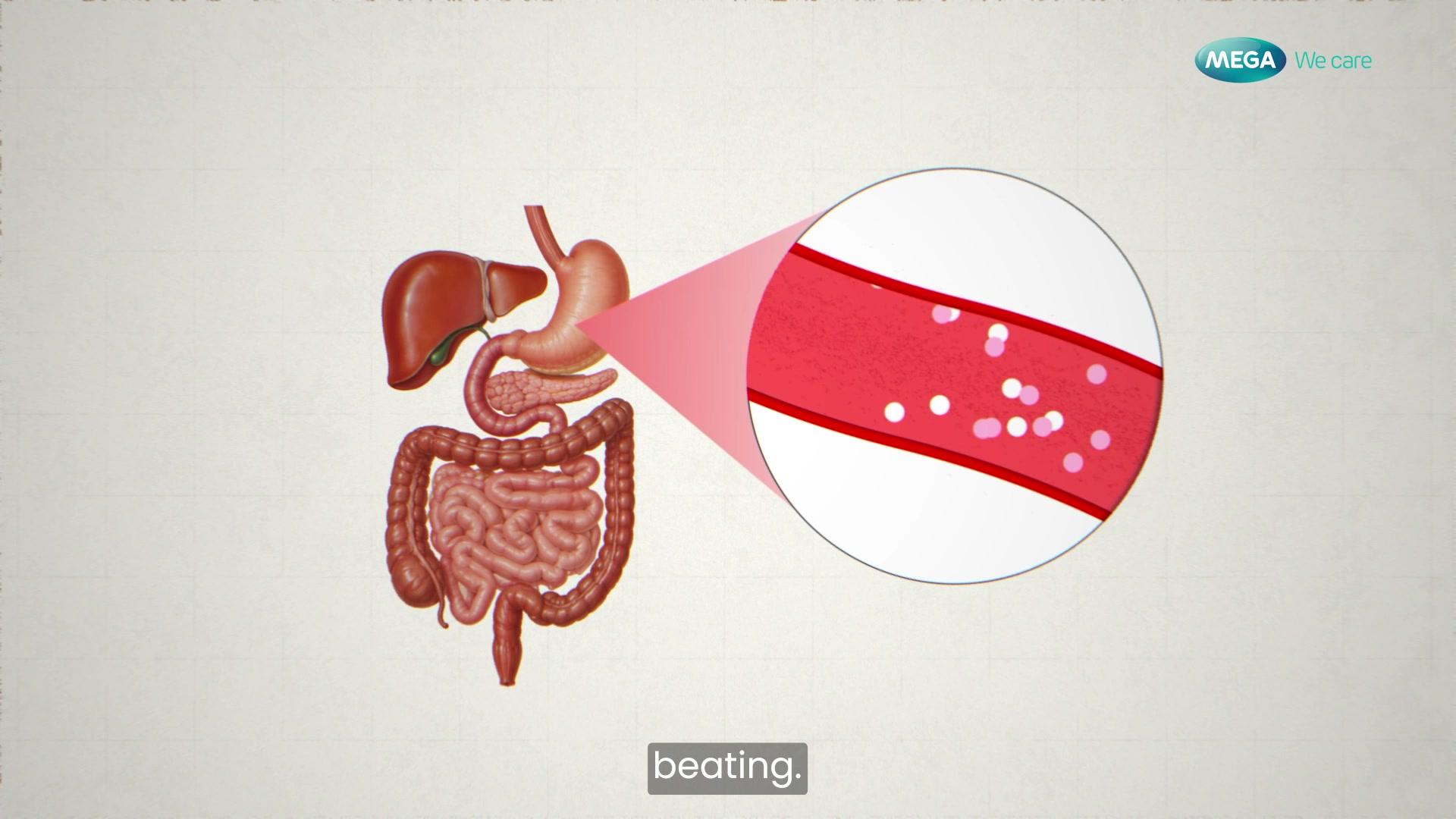 Explanatory animation for Mega We Care healthcare education